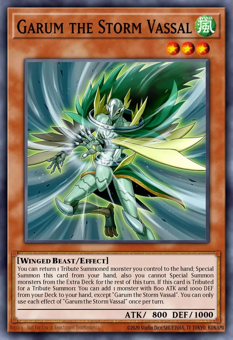 Garum the Storm Vassal