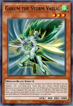 Garum the Storm Vassal