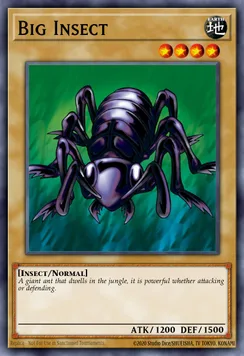 Big Insect