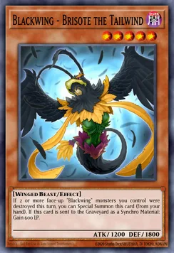 Blackwing - Brisote the Tailwind