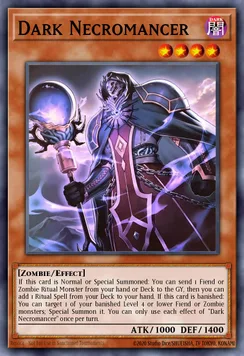 Dark Necromancer
