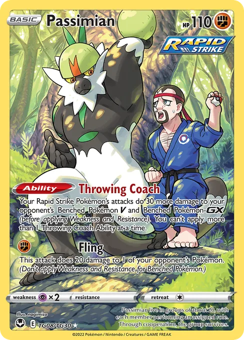 Passimian, Silver Tempest Trainer Gallery #TG08
