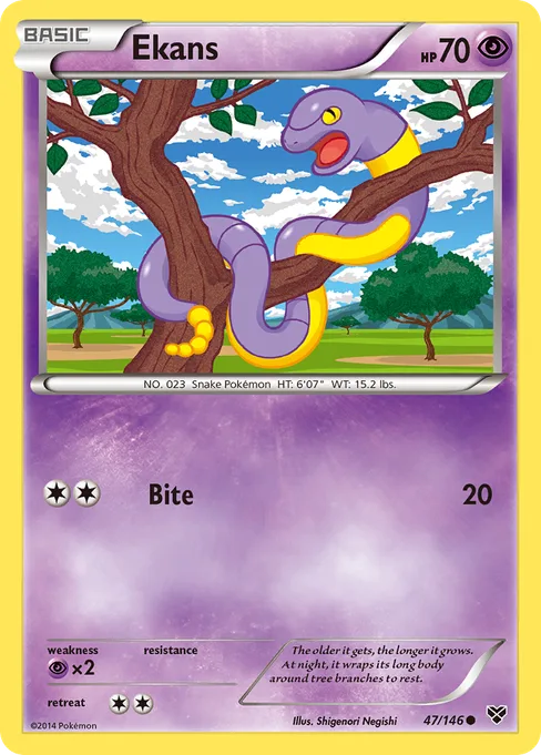 Ekans, XY #47