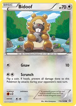 Bidoof, Normal