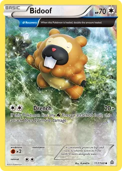 Bidoof, Normal