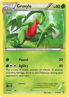 Grovyle, Normal
