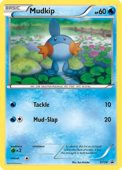 Mudkip, XY Black Star Promos #XY38