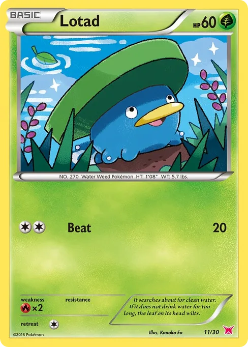 Lotad, XY Trainer Kit: Latias & Latios #11