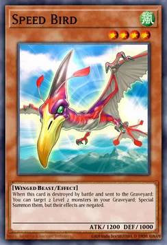 Speed Bird