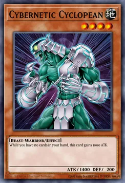 Cybernetic Cyclopean